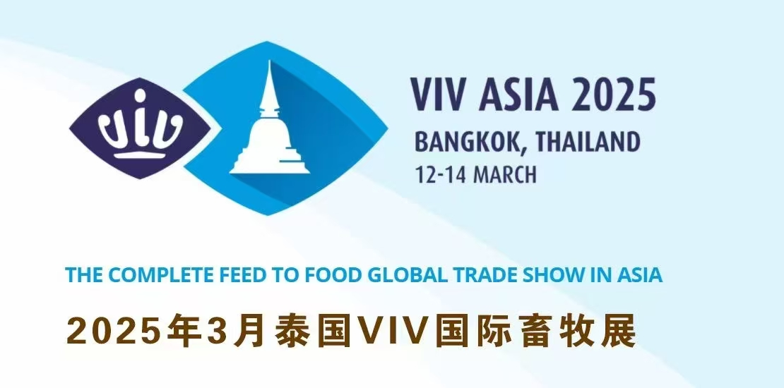 與世界握手，斯道德VIV Asia 2025邀您共聚曼谷
